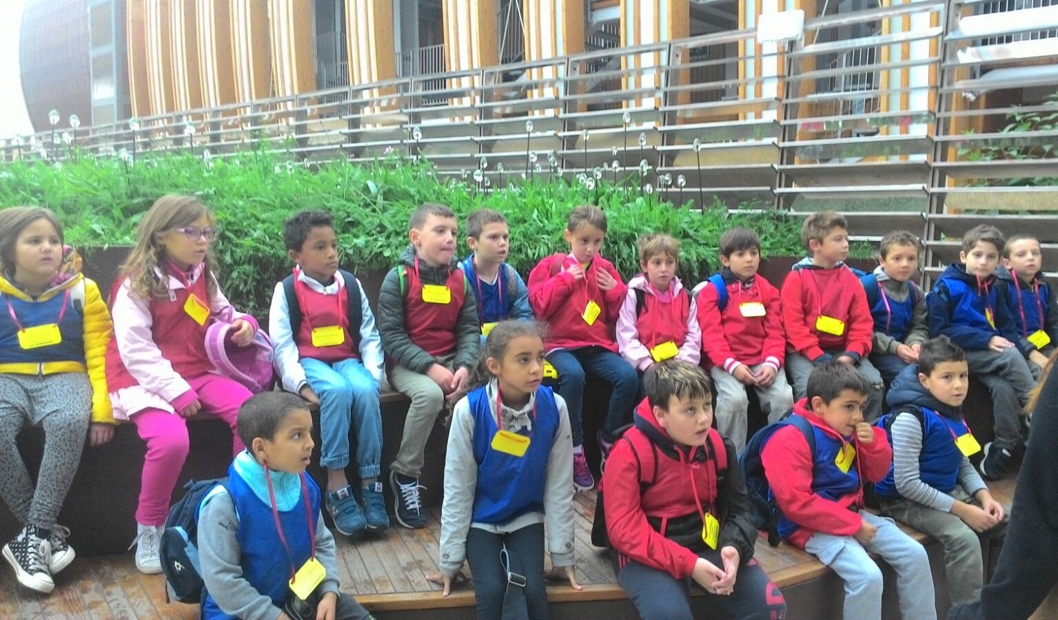 Primaria Rovello Porro classi terze