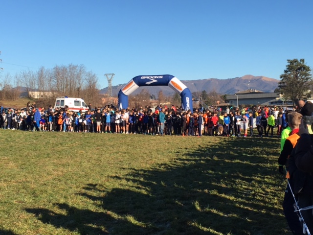 Corsa Campestre 21/12/15